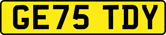 GE75TDY