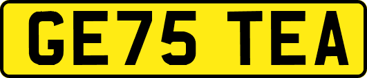 GE75TEA