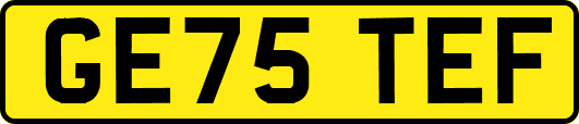 GE75TEF
