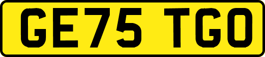 GE75TGO