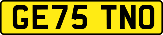 GE75TNO