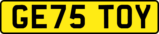 GE75TOY