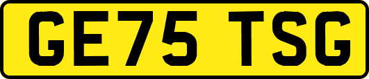 GE75TSG