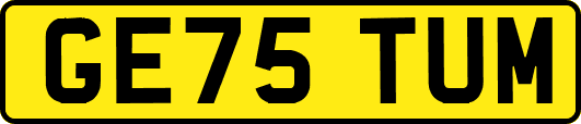GE75TUM