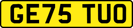 GE75TUO