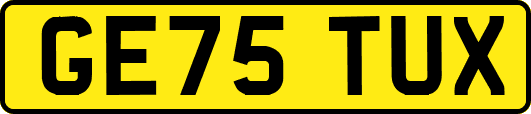GE75TUX