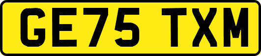 GE75TXM