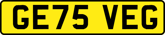 GE75VEG