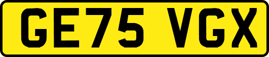 GE75VGX