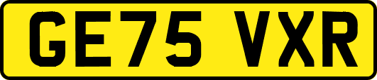GE75VXR
