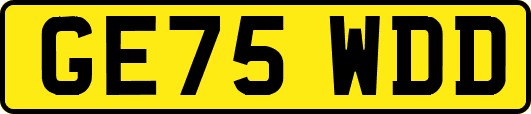 GE75WDD