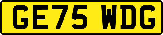 GE75WDG