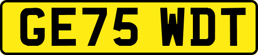 GE75WDT