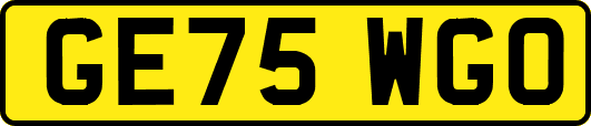 GE75WGO