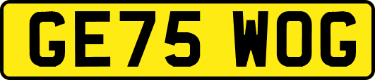 GE75WOG