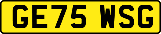 GE75WSG