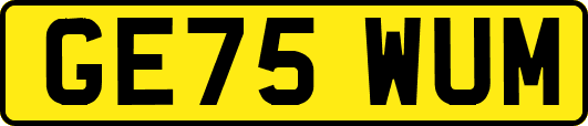 GE75WUM