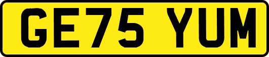 GE75YUM