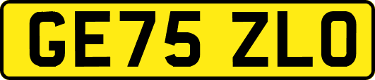 GE75ZLO