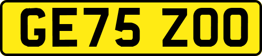 GE75ZOO