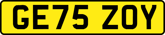 GE75ZOY