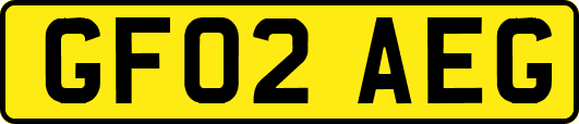 GF02AEG