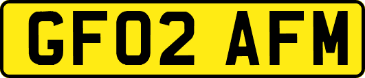 GF02AFM