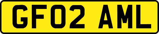 GF02AML