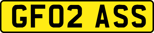 GF02ASS