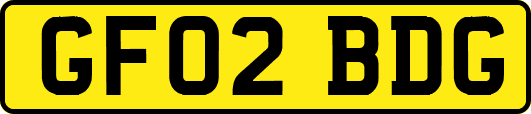 GF02BDG