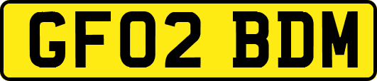 GF02BDM