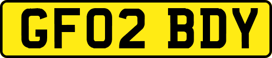 GF02BDY