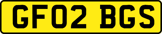 GF02BGS