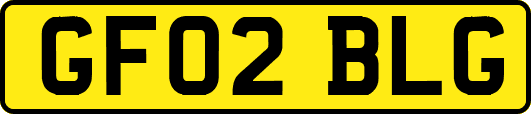 GF02BLG
