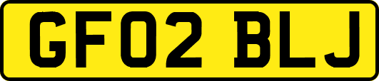 GF02BLJ