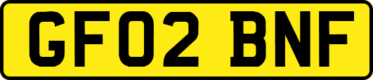 GF02BNF