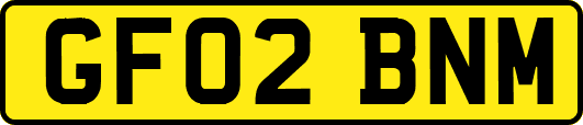 GF02BNM
