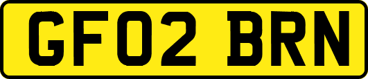GF02BRN