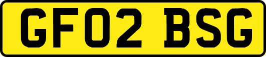 GF02BSG