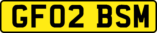 GF02BSM