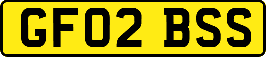 GF02BSS