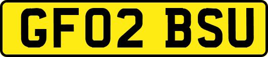 GF02BSU