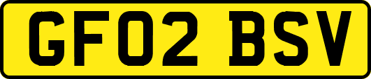 GF02BSV