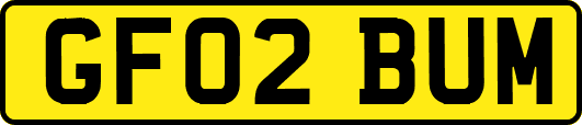 GF02BUM