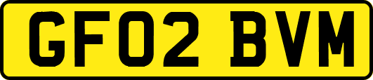 GF02BVM