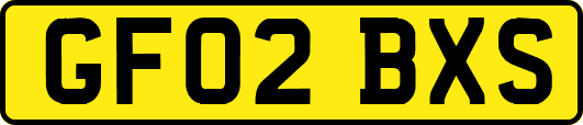 GF02BXS