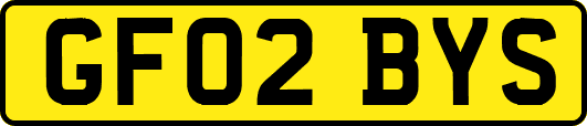 GF02BYS