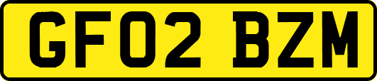 GF02BZM