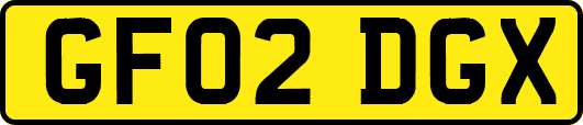 GF02DGX