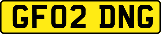 GF02DNG